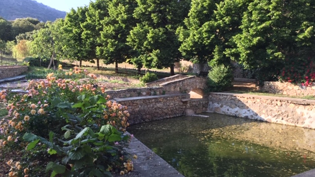 Photo of Outdoor in Moltifao