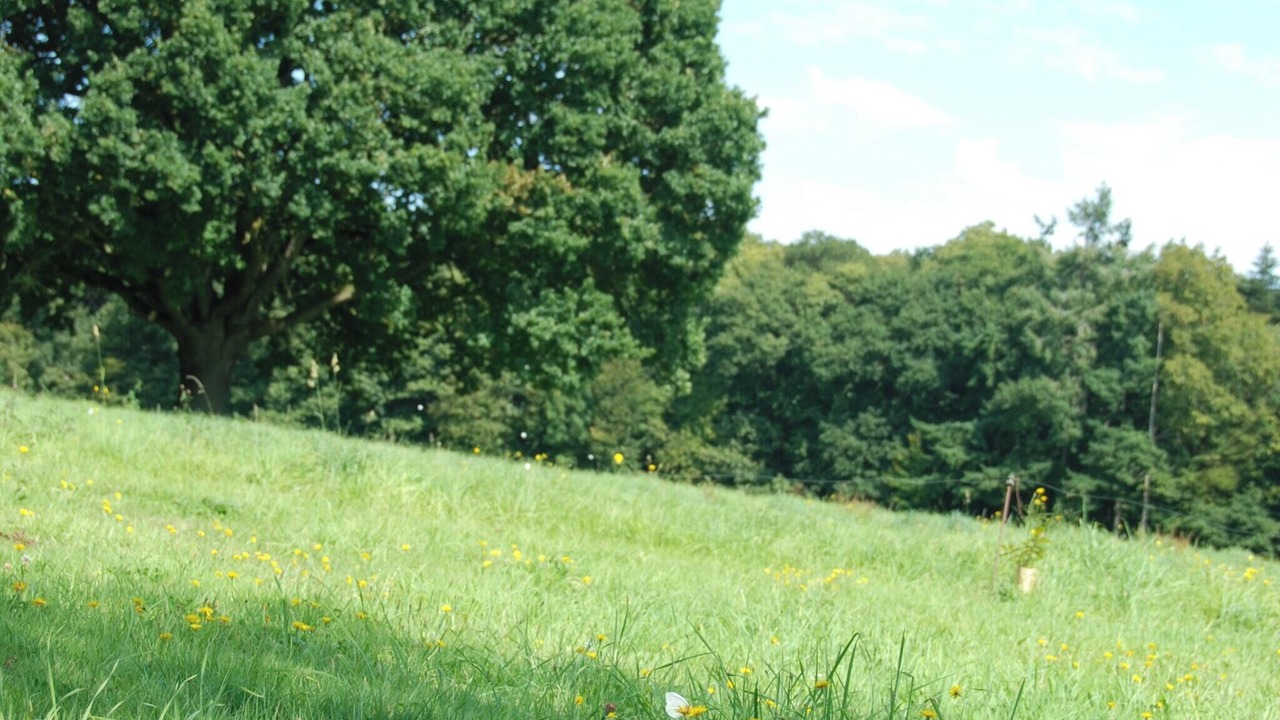 Photo of Outdoor in Saint-Igneuc