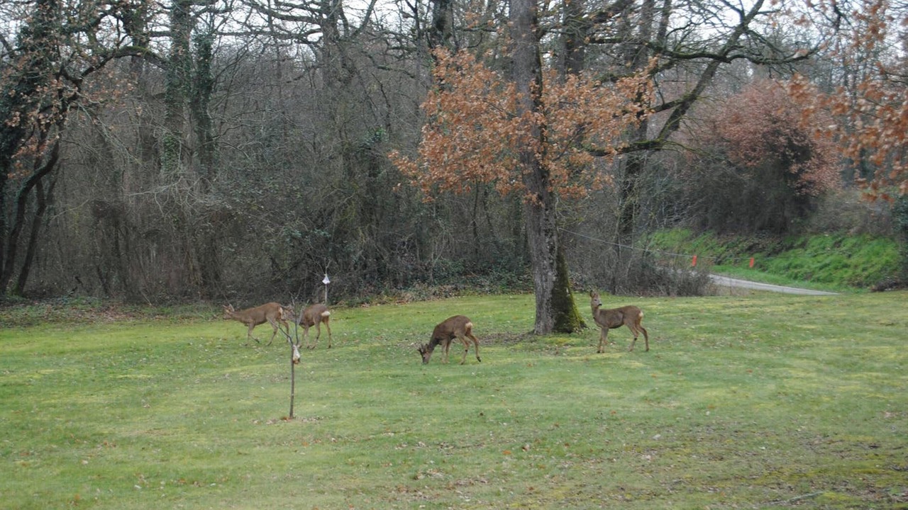 Photo of Others in Maurens