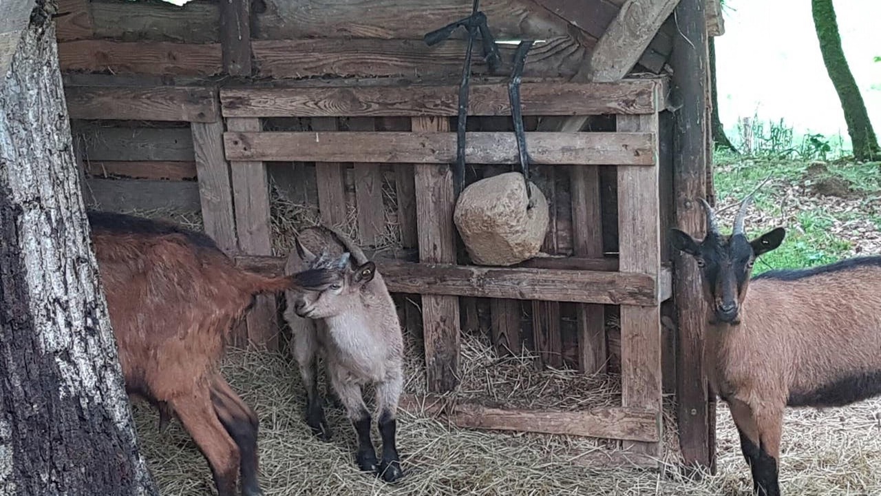 Photo of Others in Maurens