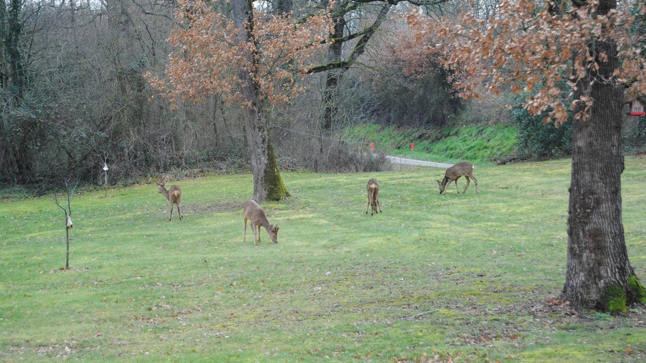 Photo of Others in Maurens