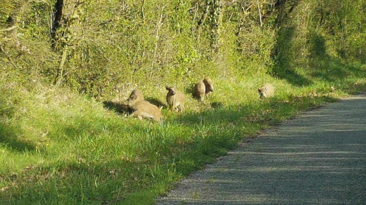 Photo of Others in Maurens