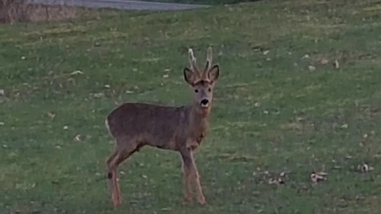 Photo of Others in Maurens