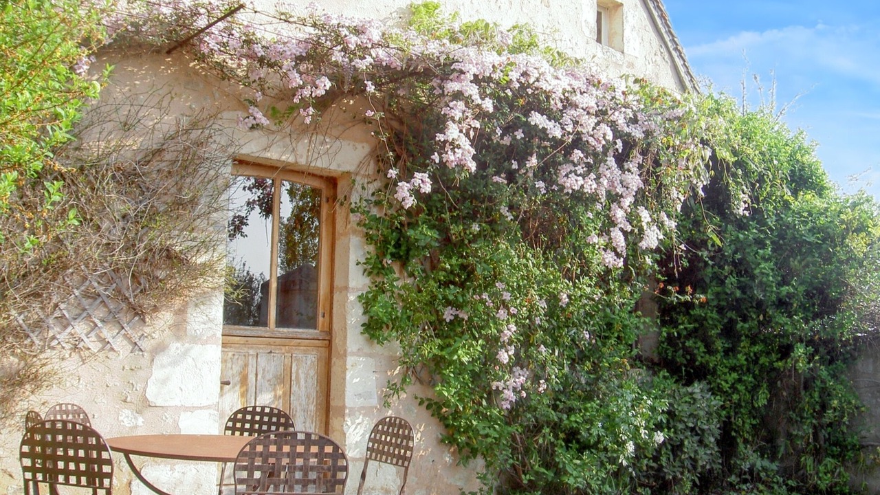 Photo of Outdoor in Coudray-au-Perche