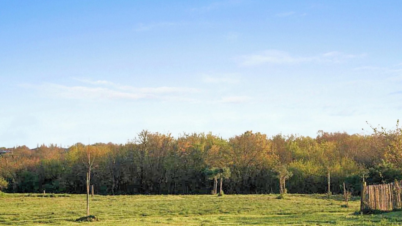 Photo of Others in Saint-Cyr-en-Talmondais