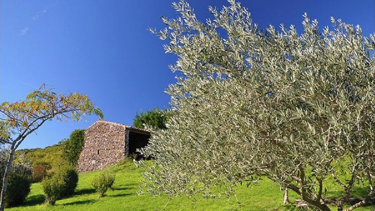 Photo of Outdoor in Saint-Lager-Bressac
