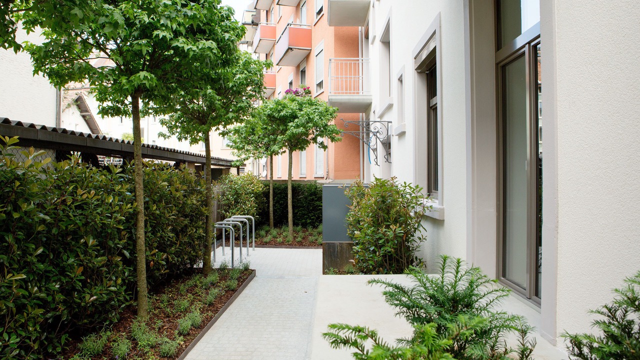 Photo of Outdoor in District 4