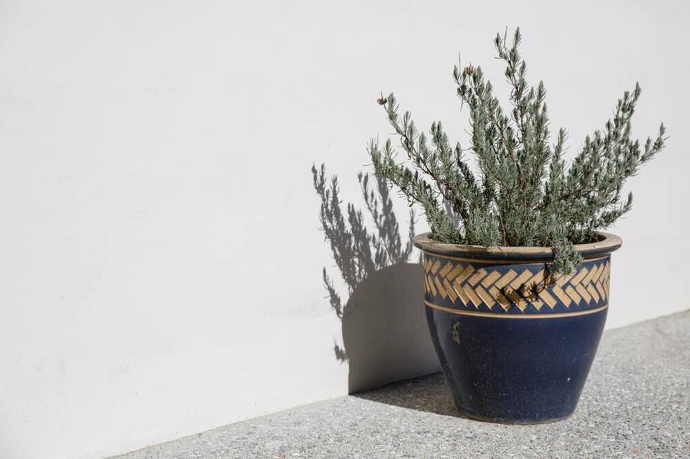 Photo of Others in Wanaka