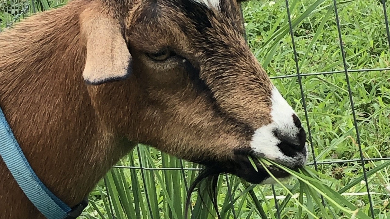 Photo of Others in Madison