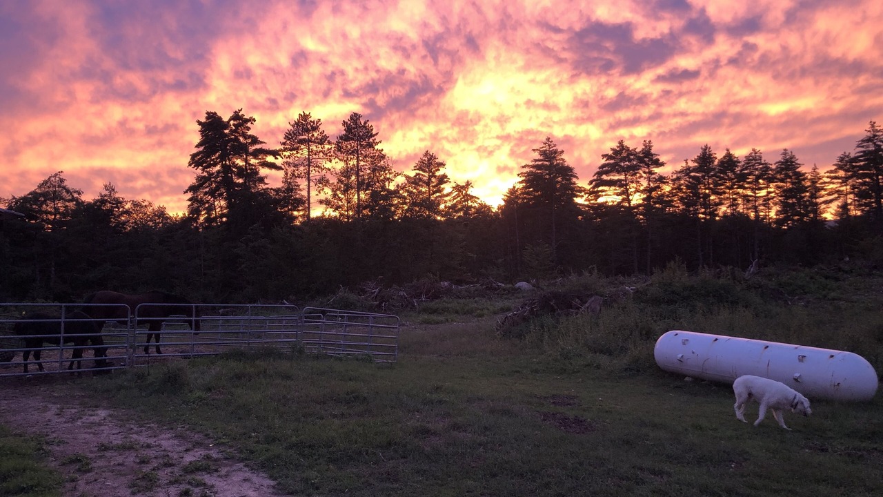 Photo of Outdoor in Madison