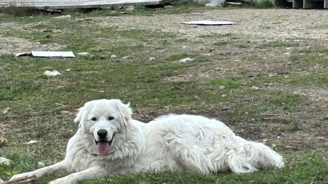 Photo of Others in Madison