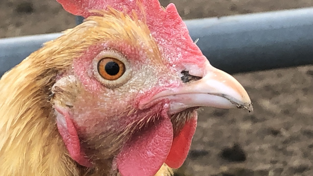 Photo of Others in Madison