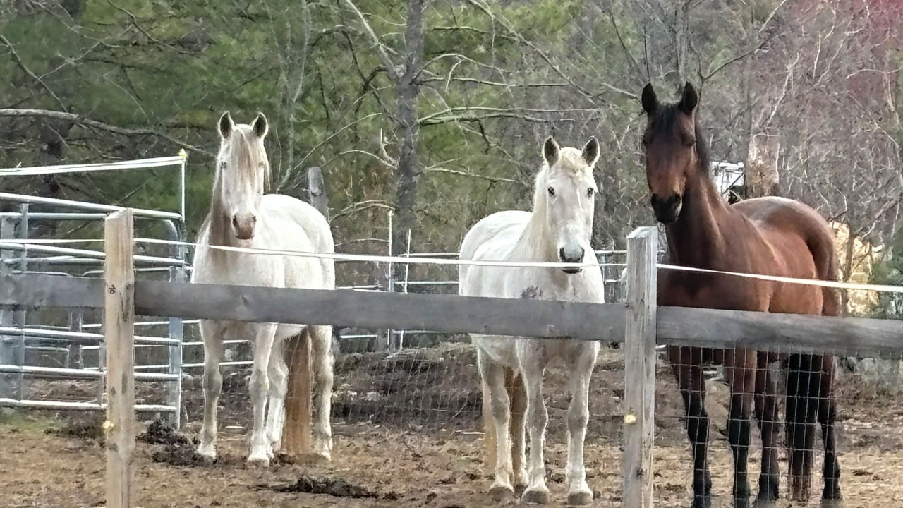 Photo of Outdoor in Madison