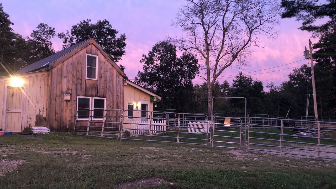 Photo of Outdoor in Madison