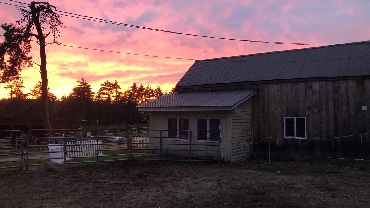 Photo of Outdoor in Madison