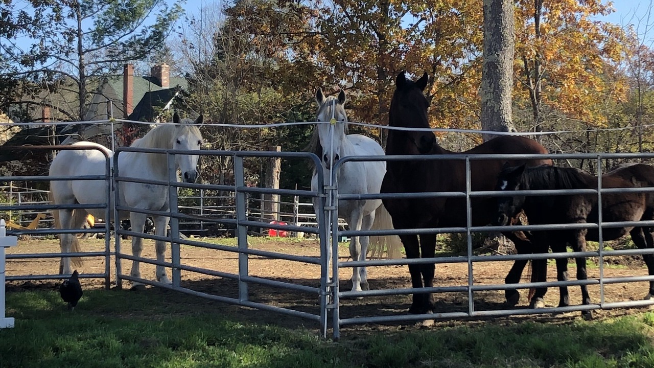 Photo of Outdoor in Madison