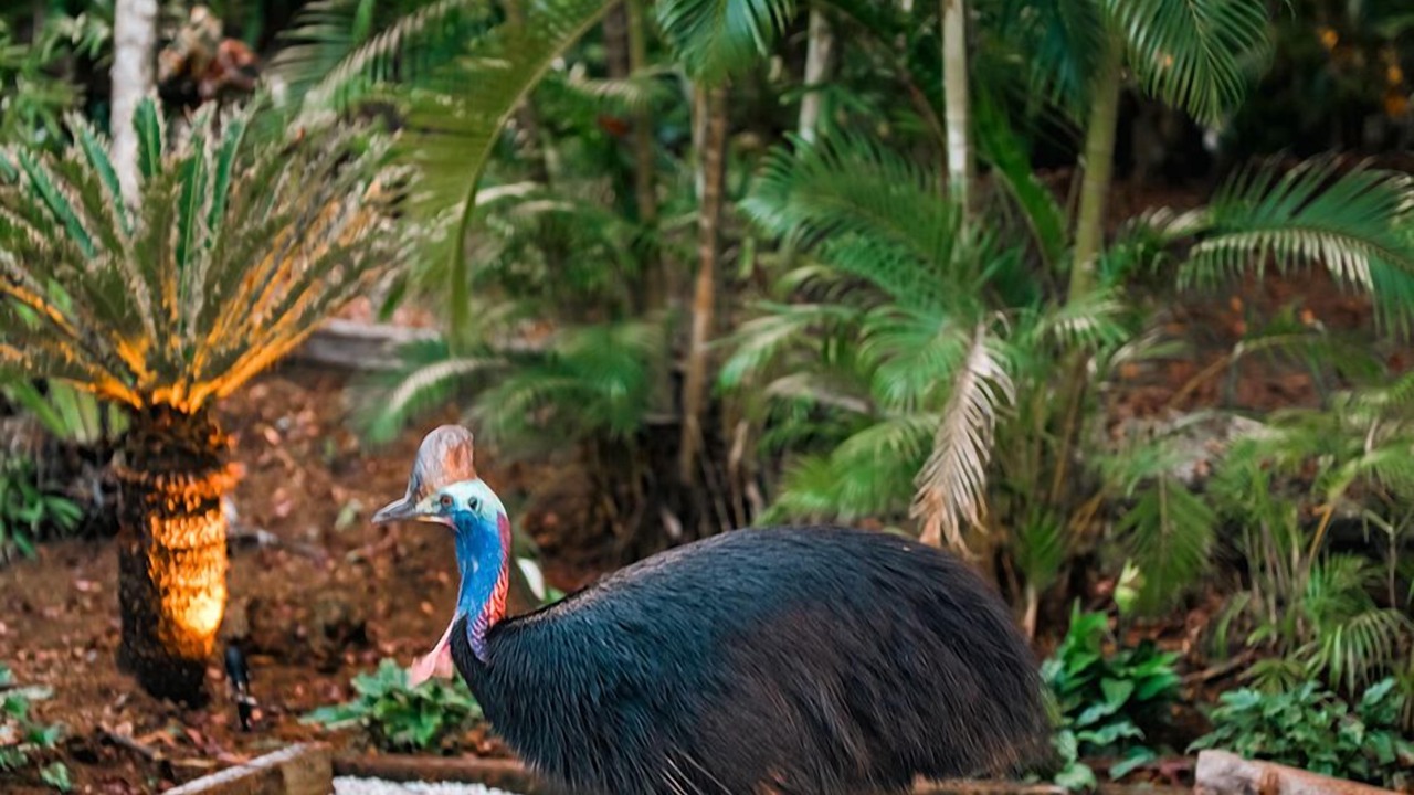 Photo of Outdoor in South Mission