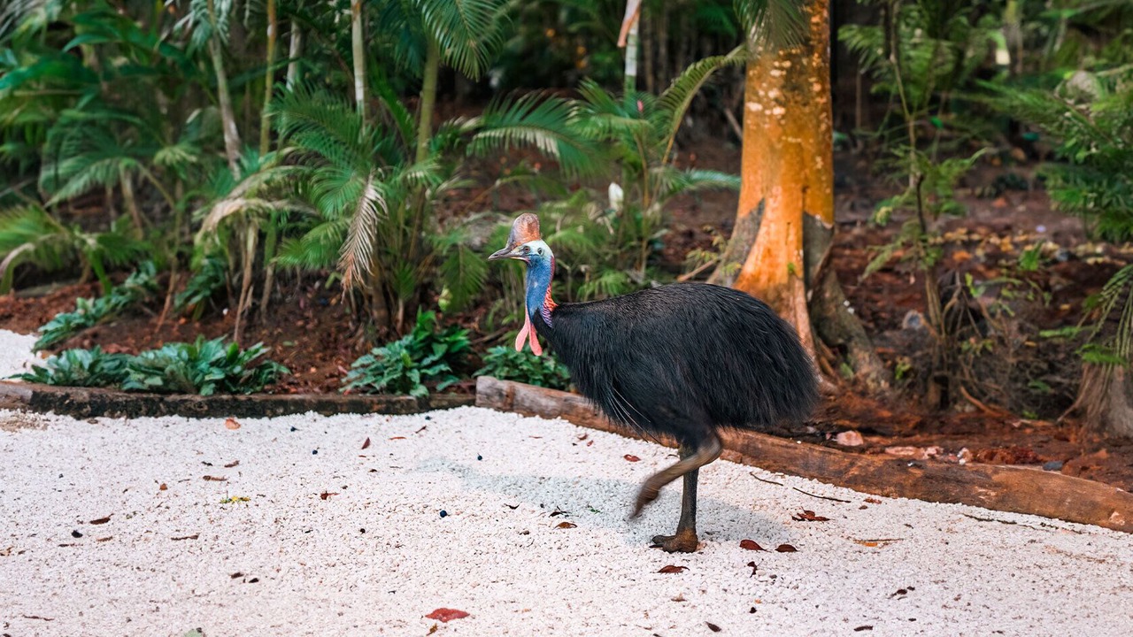 Photo of Outdoor in South Mission