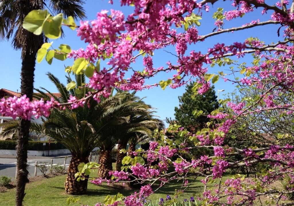 Photo of Outdoor in Hendaye