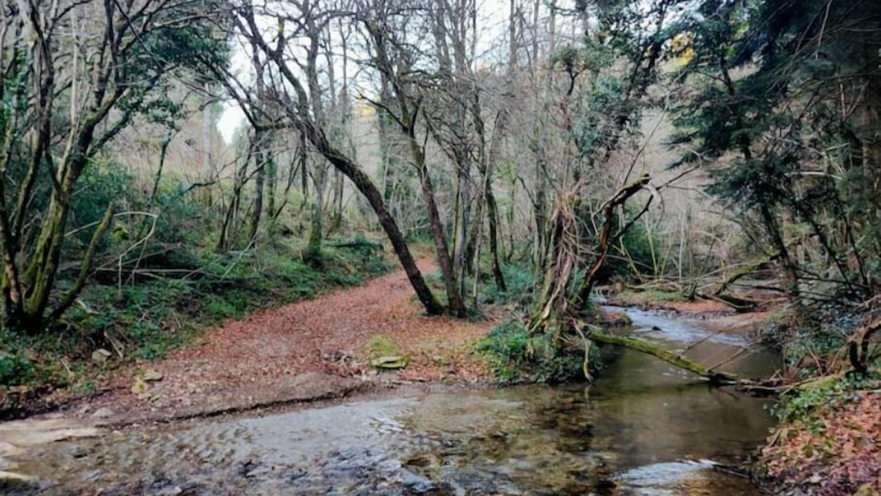 Photo of Outdoor in Arfons