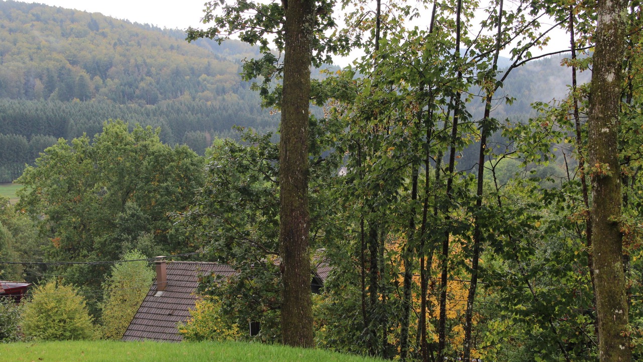Photo of Others in Colroy-la-Roche