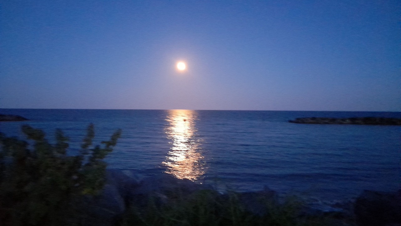 Photo of Others in Middleton-on-Sea