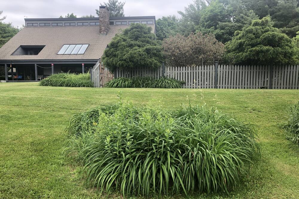 Photo of Outdoor in Canaan