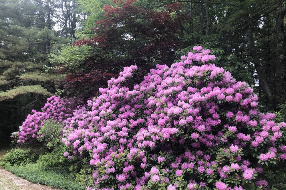 Photo of Outdoor in Canaan