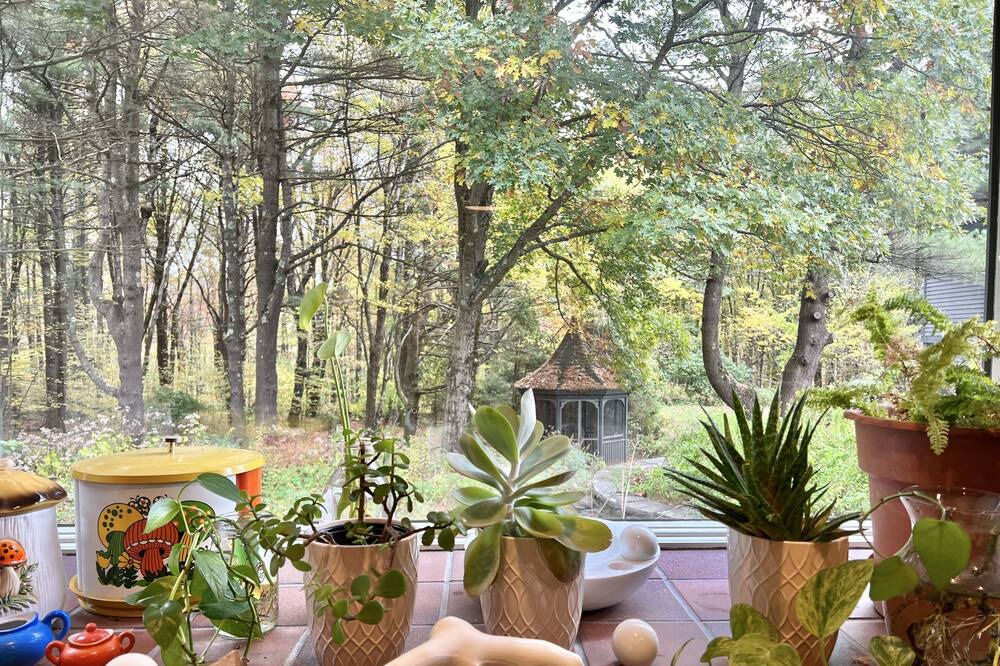 Photo of Outdoor in Canaan