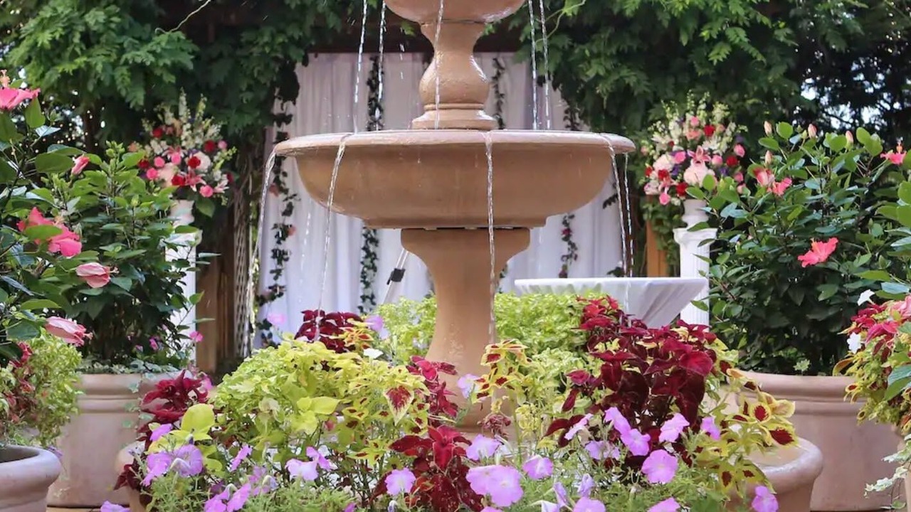 Photo of Outdoor in Fairfax