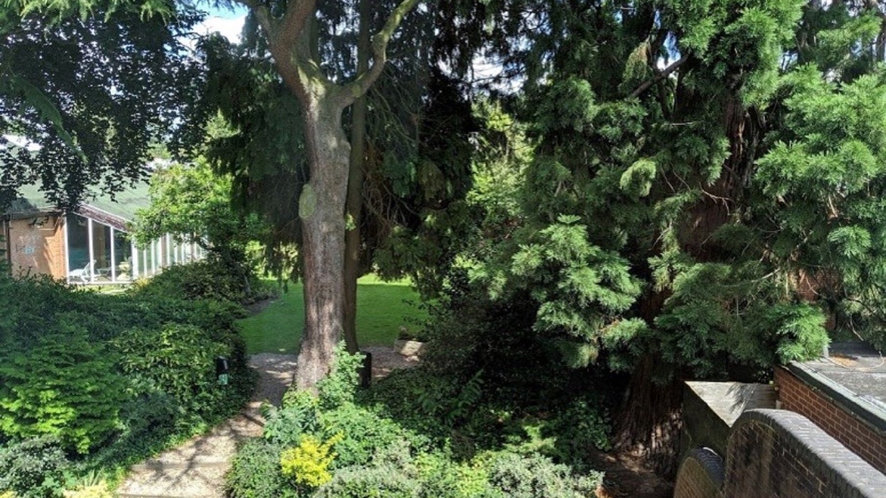 Photo of Others in Solihull