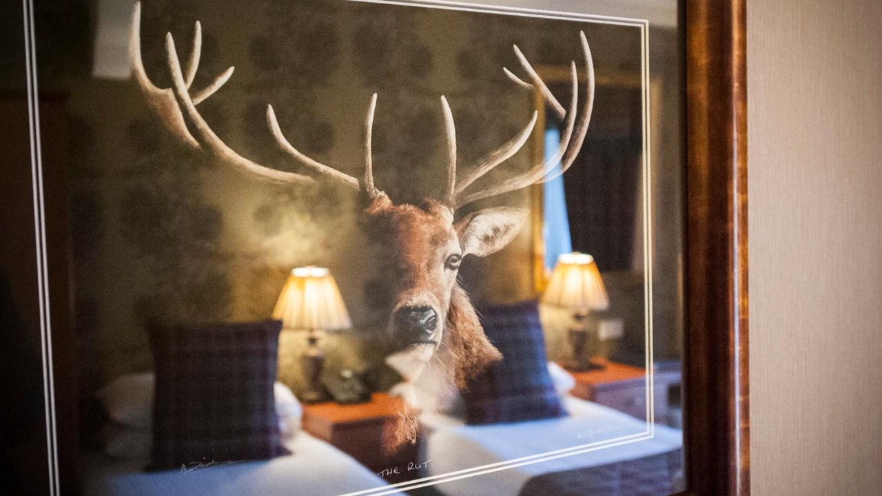 Photo of Others in Dinnet