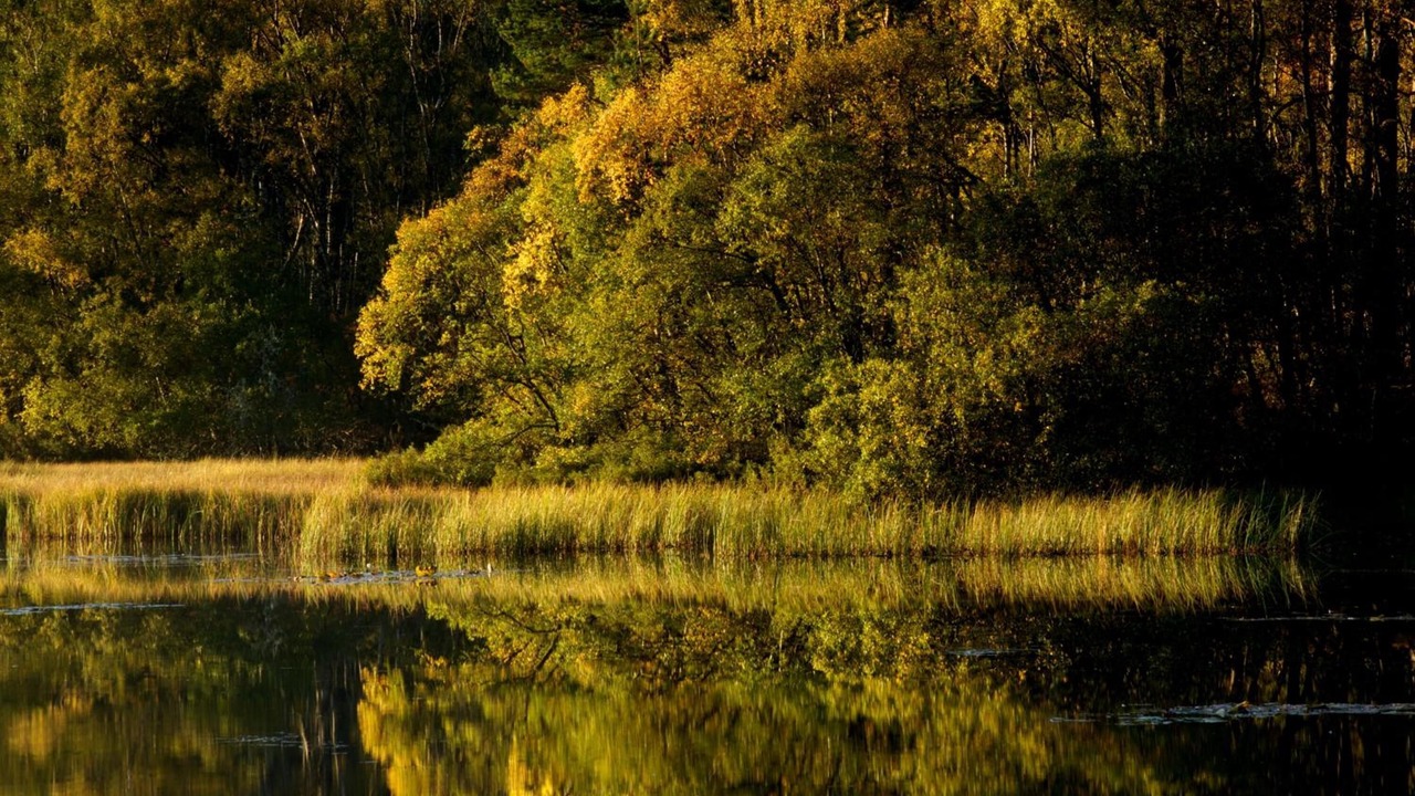 Photo of Outdoor in Dinnet