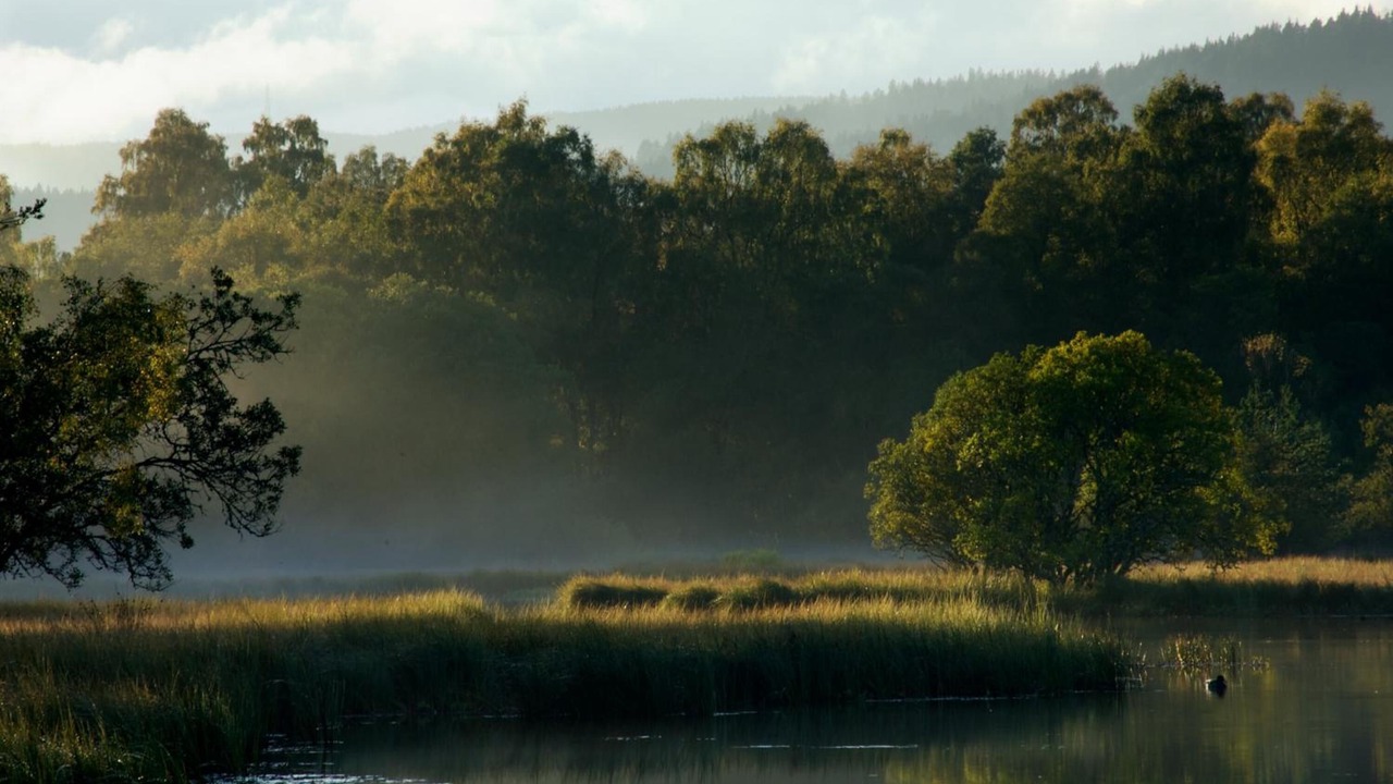 Photo of Outdoor in Dinnet