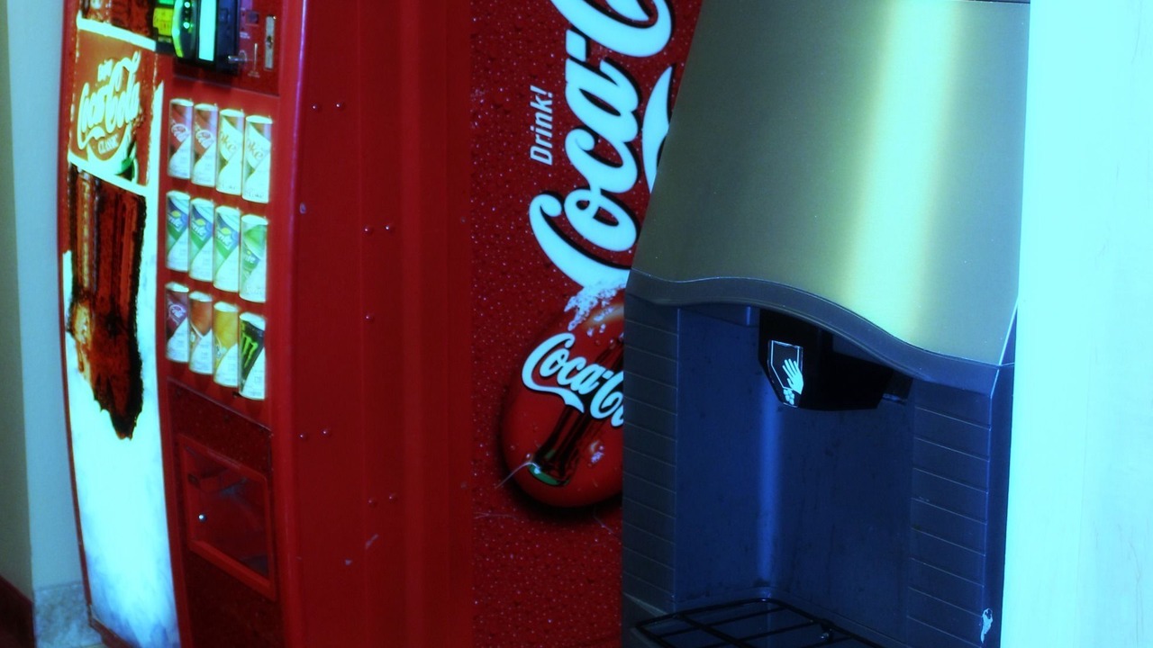 Photo of Others in Kelso