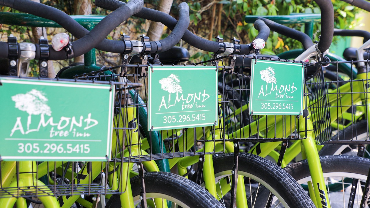 Photo of Outdoor in Old Town