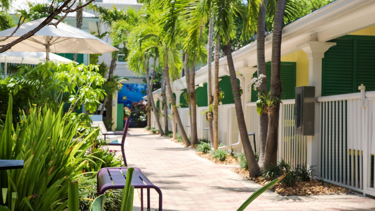 Photo of Outdoor in Old Town