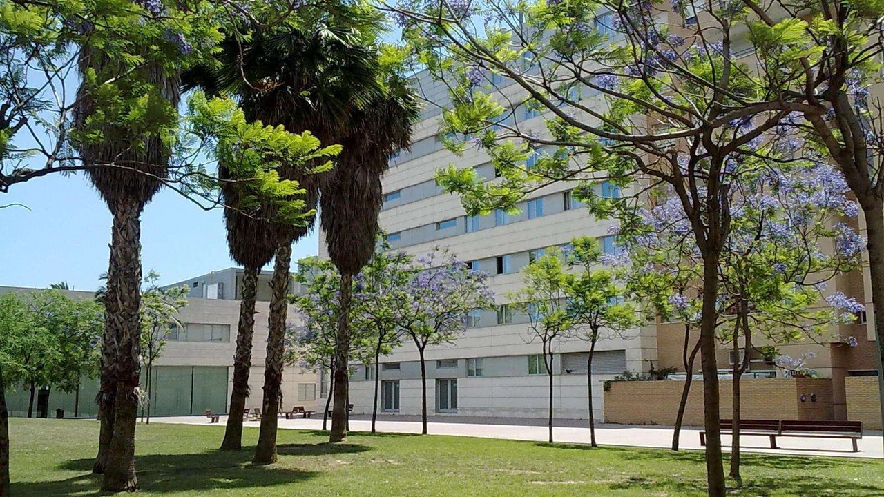 Photo of Outdoor in Diagonal Mar i el Front Maritim del Poblenou