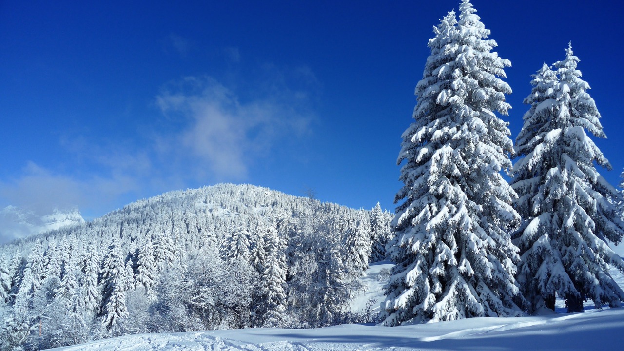 Photo of Others in Les Houches