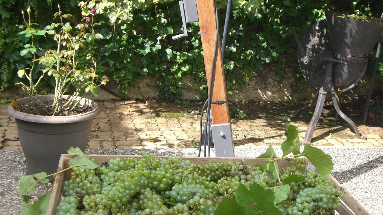 Photo of Outdoor in Limeray