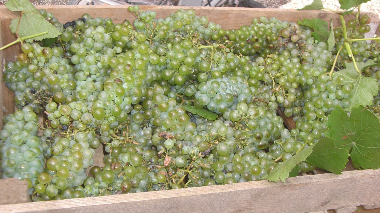 Photo of Outdoor in Limeray