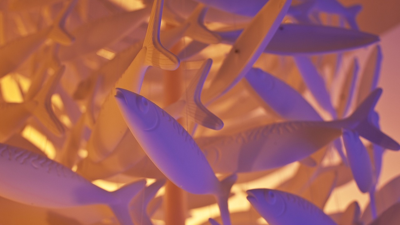 Photo of Others in Courtoisville-Sillon-Moka