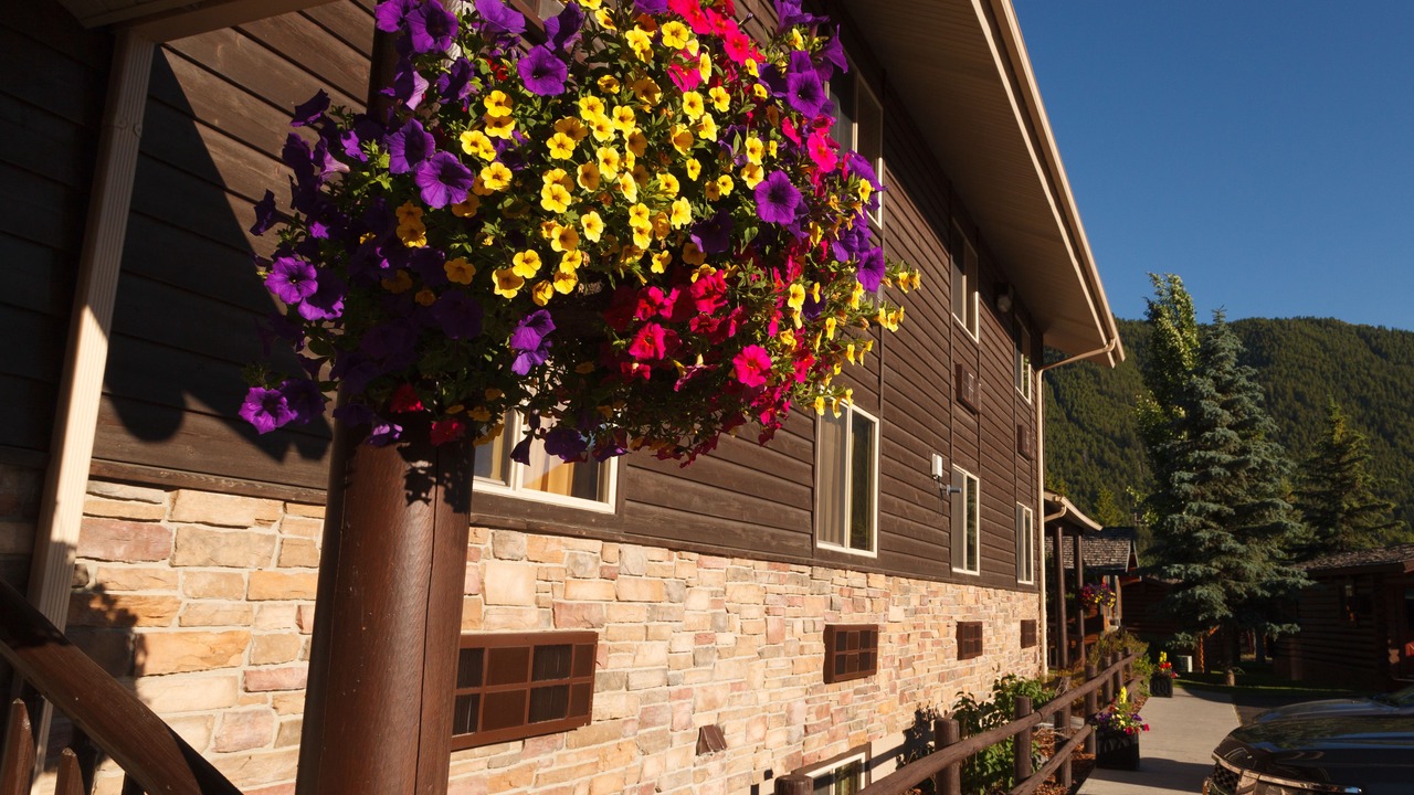 Photo of Outdoor in Jackson