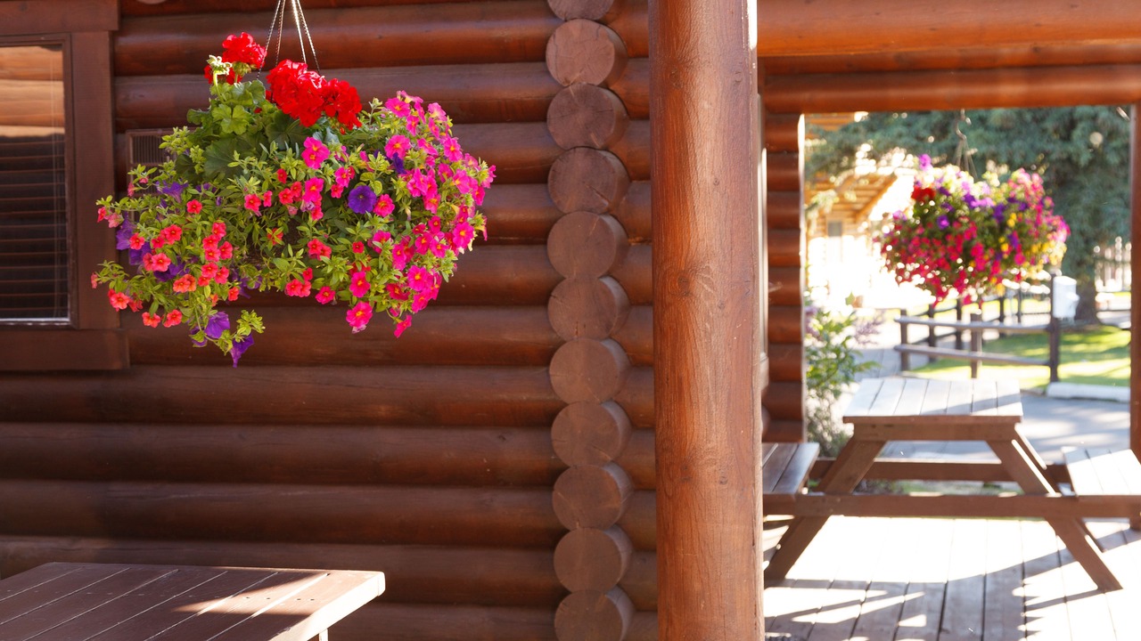 Photo of Bedroom in Jackson
