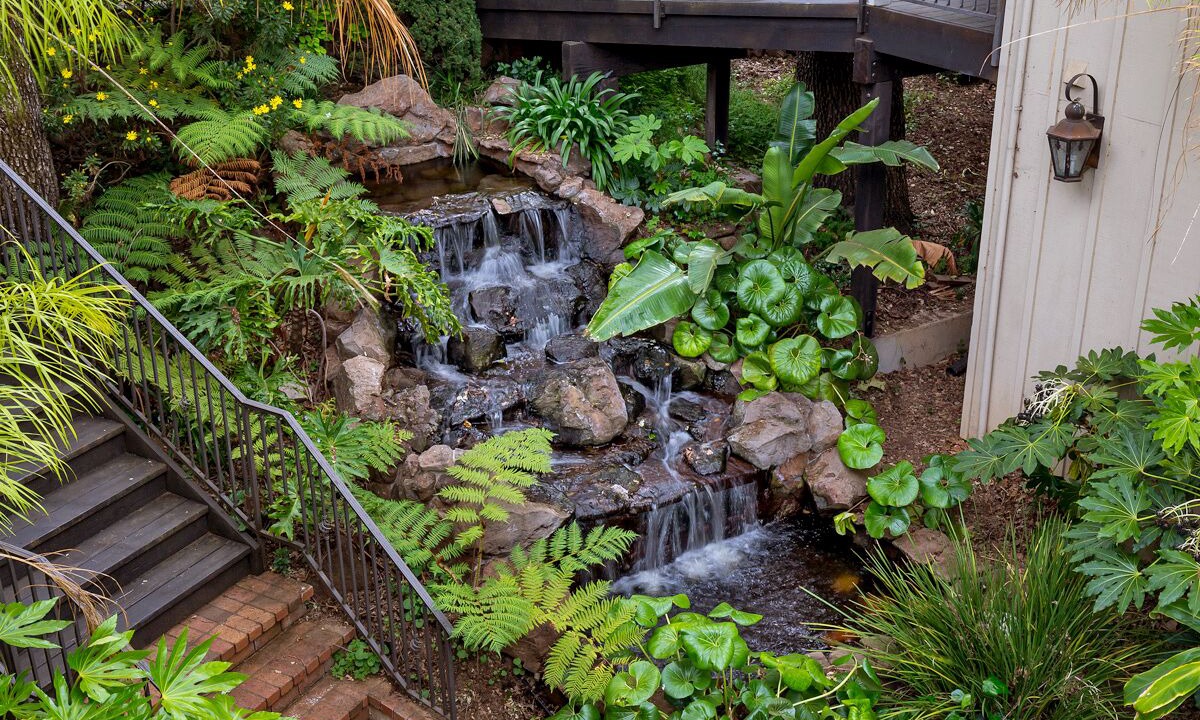 Photo of Outdoor in Saratoga