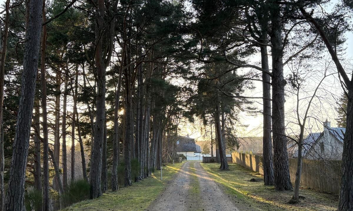 Photo of Others in Carrbridge