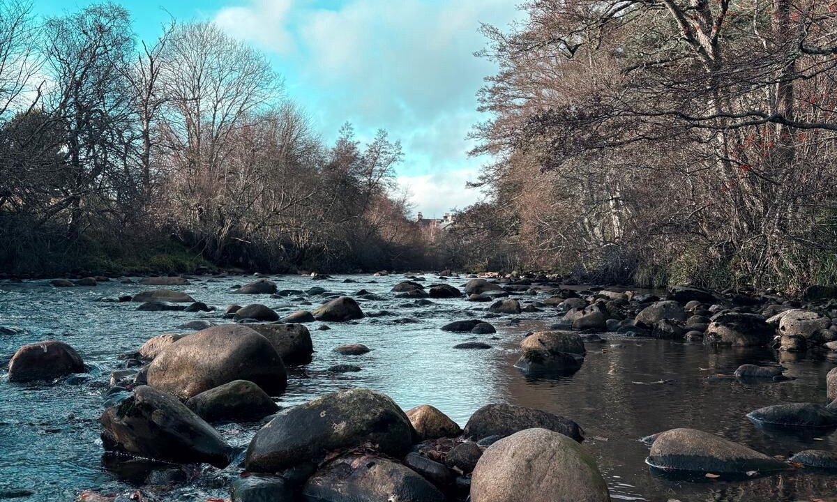 Photo of Outdoor in Carrbridge