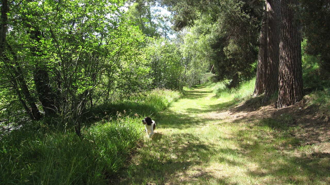 Photo of Outdoor in Carrbridge