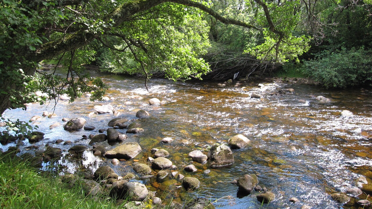 Photo of Outdoor in Carrbridge