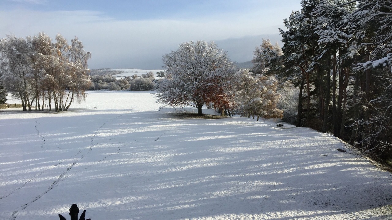 Photo of Others in Carrbridge